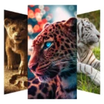 Logo of Lion Wallpapers android Application 