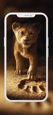 Lion Wallpapers android App screenshot 11