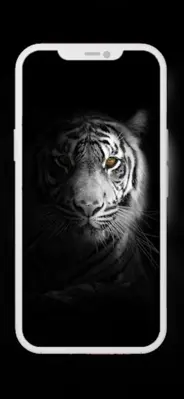 Lion Wallpapers android App screenshot 15