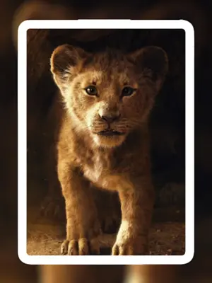 Lion Wallpapers android App screenshot 3