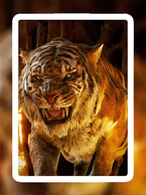 Lion Wallpapers android App screenshot 4